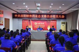 洛陽順勢藥業有限公司黨總支召開黨員大會 會議選舉產生新一屆總支委員會